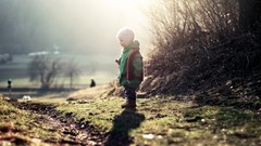 Landscapes nature grass children sunlight depth of field