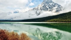 Landscapes nature grass clouds