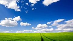 Landscapes nature grass clouds