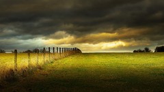 Landscapes nature grass clouds Green early morning fields skies 