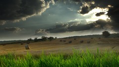 Landscapes nature grass clouds Green sunlight skyscapes dark 
