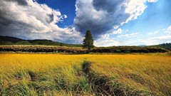 Landscapes nature grass clouds hills