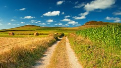 Landscapes nature grass clouds paths