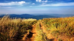 Landscapes nature grass clouds roads fields skyscapes