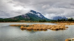 Landscapes nature grass clouds sky gloomy