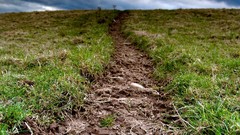 Landscapes nature grass dirt Earth