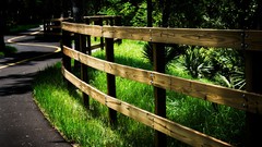 Landscapes nature grass fences