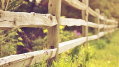 Landscapes nature grass fencing