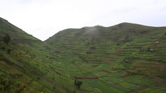 Landscapes nature grass fields