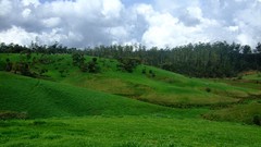 Landscapes nature grass fields