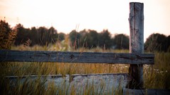 Landscapes nature grass fields call of juarez
