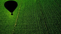 Landscapes nature grass Green Plants fields sunlight hot air 