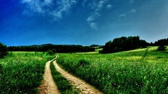 Landscapes nature grass Green skies