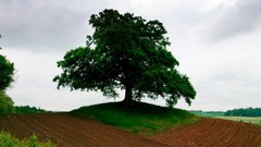 Landscapes nature grass land triangles Earth