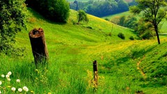 Landscapes nature grass Mountains