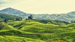 Landscapes nature grass Mountains skyscapes