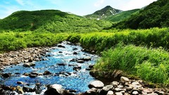 Landscapes nature grass shine colors