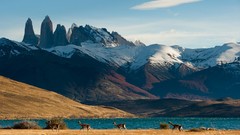 Landscapes nature grass snow Animals water blue white lagoon 