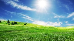 Landscapes nature grass sun spring skies
