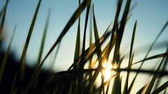 Landscapes nature grass sun sunlight skylines
