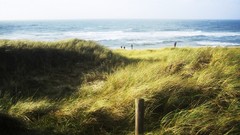 Landscapes nature grass water