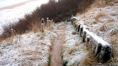 Landscapes nature grass winter coast Scotland frost fences paths