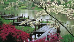 Landscapes nature Green