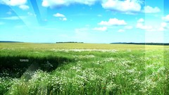 Landscapes nature Green