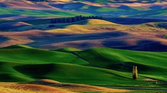 Landscapes nature Green