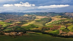 Landscapes nature Green fields