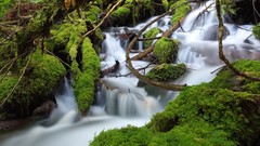 Landscapes nature Green fluid