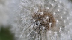 Landscapes nature Green Plants