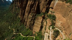 Landscapes nature Green Plants canyon Utah cliffs Zion National 
