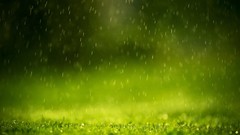 Landscapes nature Green raindrops