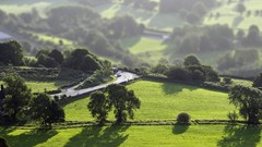 Landscapes nature Green roads tilt-shift
