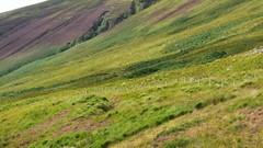 Landscapes nature Green Scotland
