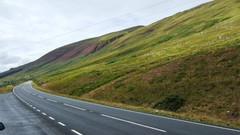 Landscapes nature Green Scotland streets