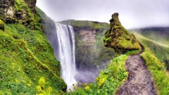 Landscapes nature Green track moss falls