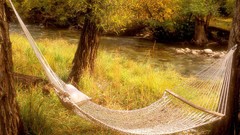 Landscapes nature hammock