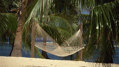 Landscapes nature hammock Hawaii palm trees Beaches tropical