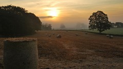 Landscapes nature harvest fields