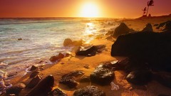 Landscapes nature Hawaii