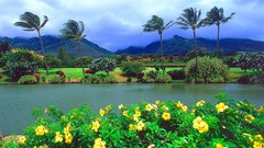Landscapes nature Hawaii