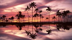 Landscapes nature Hawaii Beaches