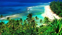 Landscapes nature Hawaii Beaches