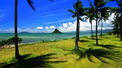Landscapes nature Hawaii cities five oahu
