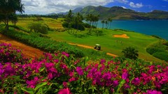 Landscapes nature Hawaii golf Kauai