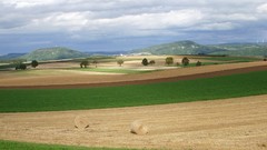 Landscapes nature hay August