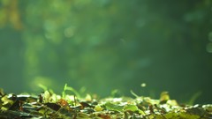 Landscapes nature HDR Photography