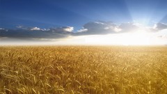 Landscapes nature HDR Photography